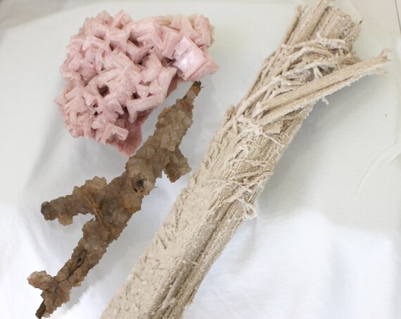 Halite Collection - Three Top Quality Cabinet Specimens from California - Natural Salt Crystals on Sagebrush and Mine Timber, plus Pink Xtls