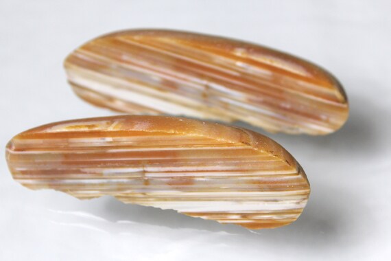 Water Banded Agate Polished Pair - Hand cut and polished! Glossy 3.5 inch!