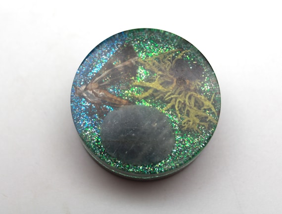 Naturally Expired Moth with Raindeer Moss and Moonstone EMF Blocking Round Pocket Blocker Insulation 1.25 inch