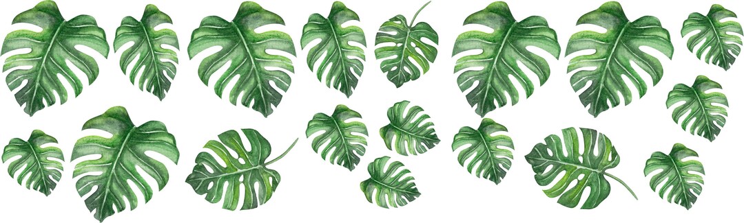 Watercolor Monstera Leaf Wall Decal Set - Tropical Nursery Decor, Self ...
