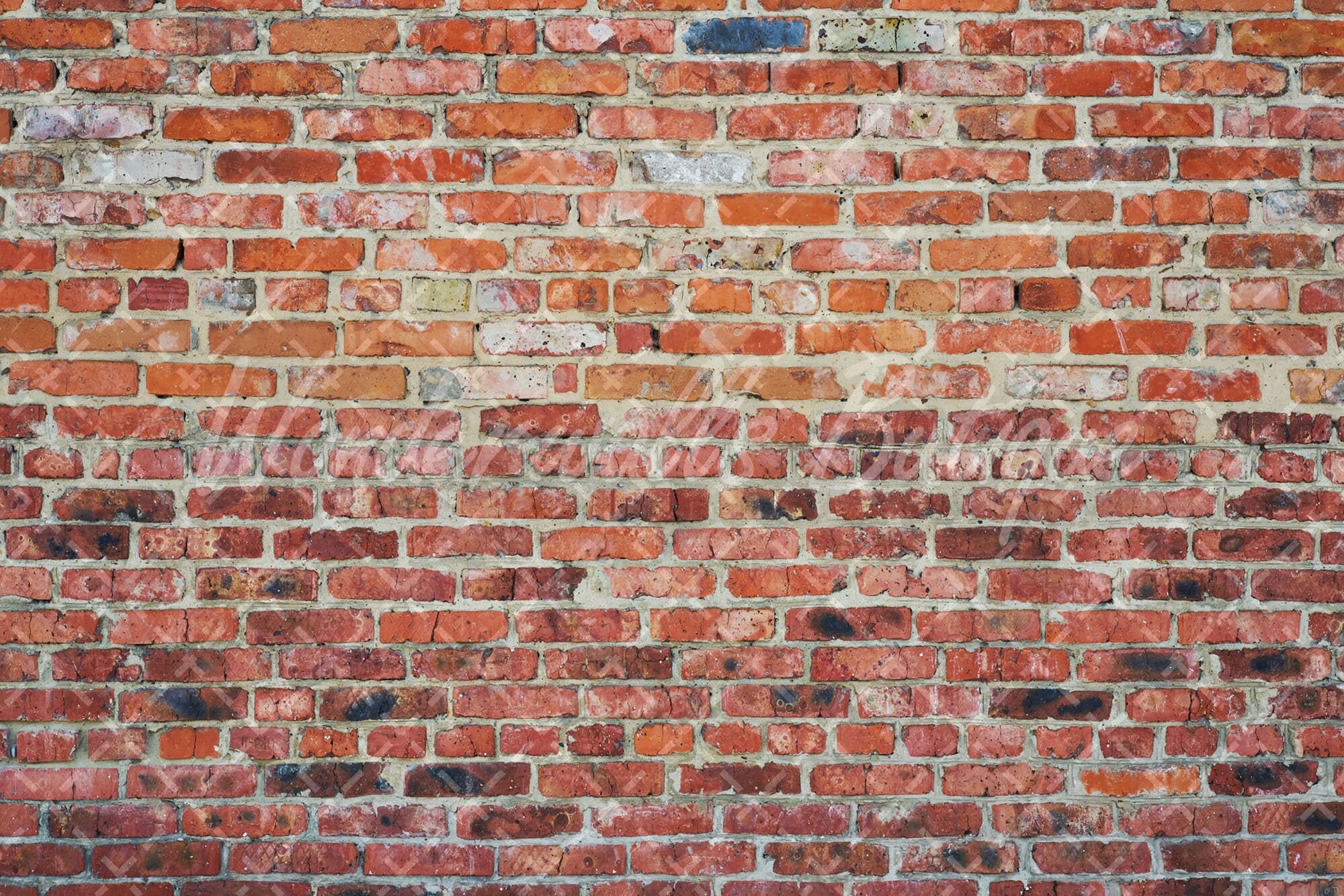  Mural de pared pared de ladrillo texturizado rojo vintage fotos  libres de derechos Papel pintado autoadhesivo Papel tapiz autoadhesivo Papel  pintado de pared grande Etiqueta de pared extraíble Rollo de película