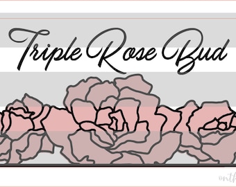 Triplo bocciolo di rosa e cornice FILE SVG