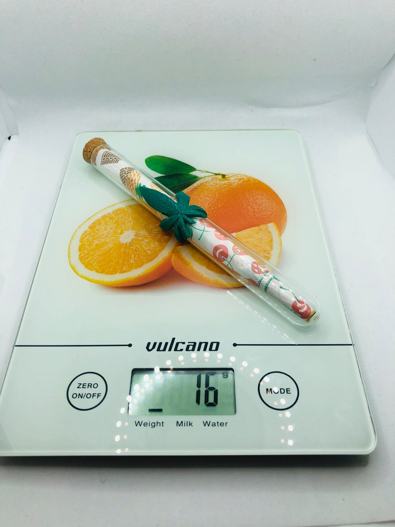 Glass Joint Case Prerolled Cones Weed Accessories Weed Etsy