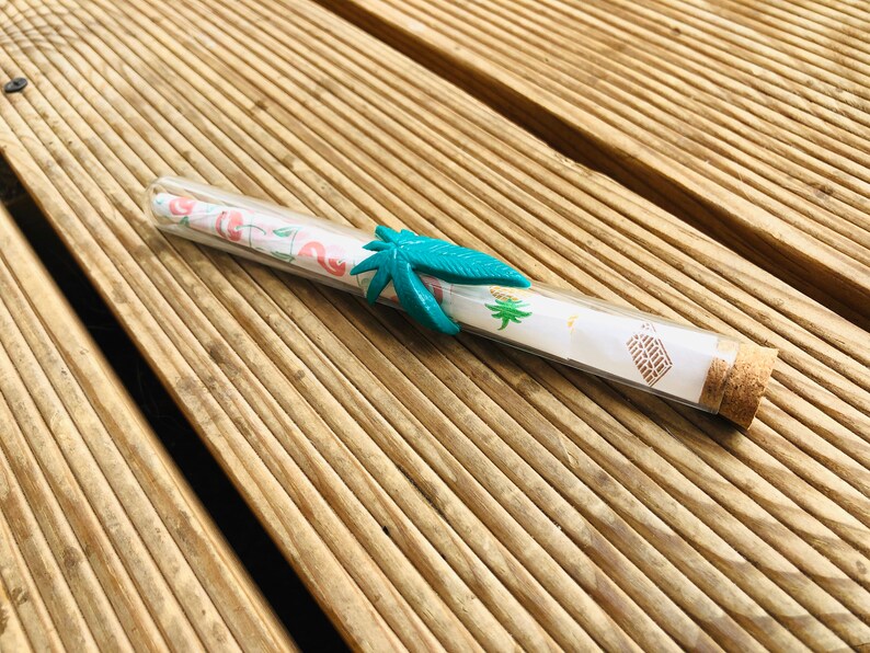 Glass Joint Case Prerolled Cones Weed Accessories Weed Etsy