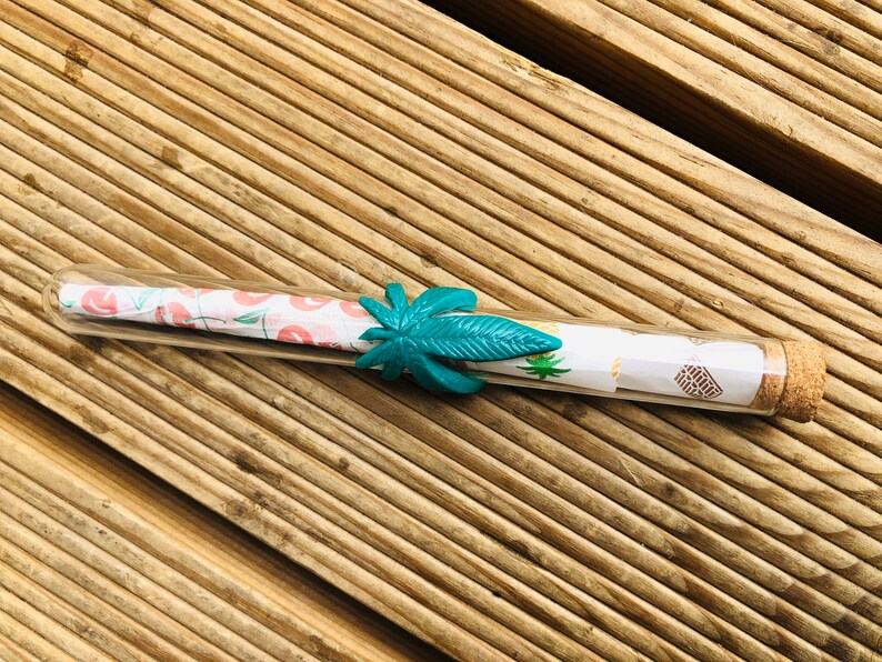 Glass Joint Case Prerolled Cones Weed Accessories Weed Etsy