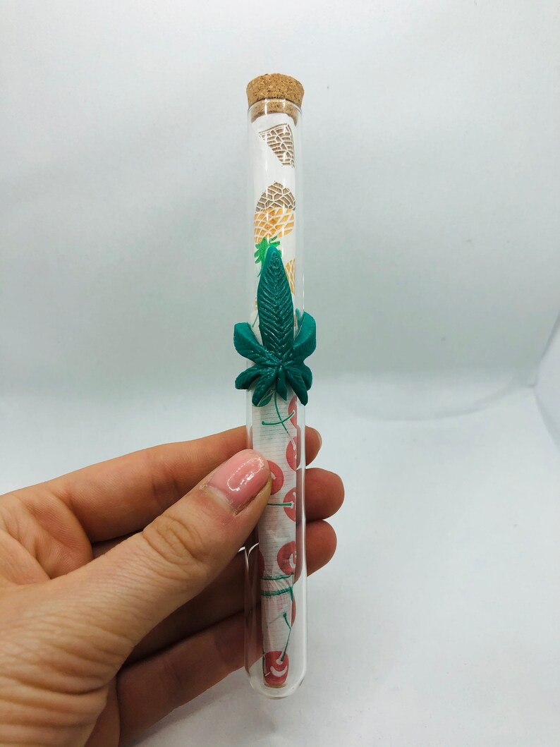 Glass Joint Case Prerolled Cones Weed Accessories Weed Etsy