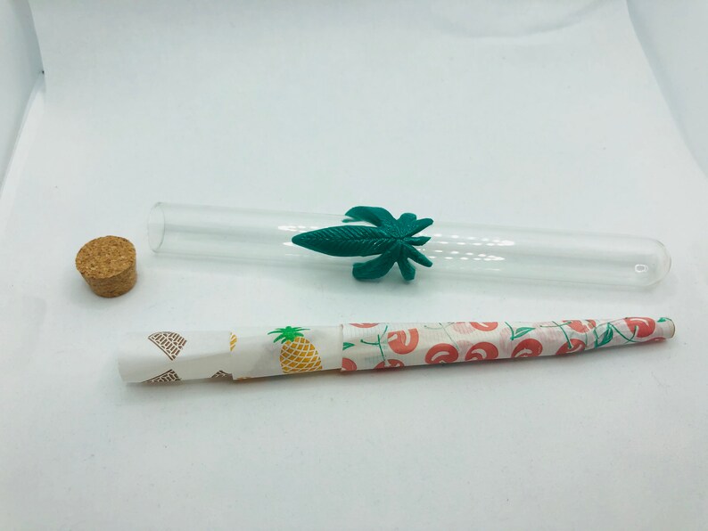 Glass Joint Case Prerolled Cones Weed Accessories Weed Etsy