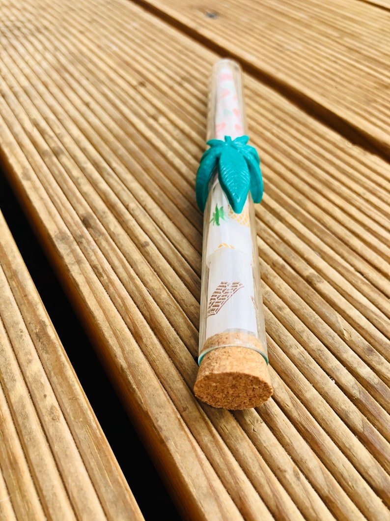 Glass Joint Case Prerolled Cones Weed Accessories Weed Etsy