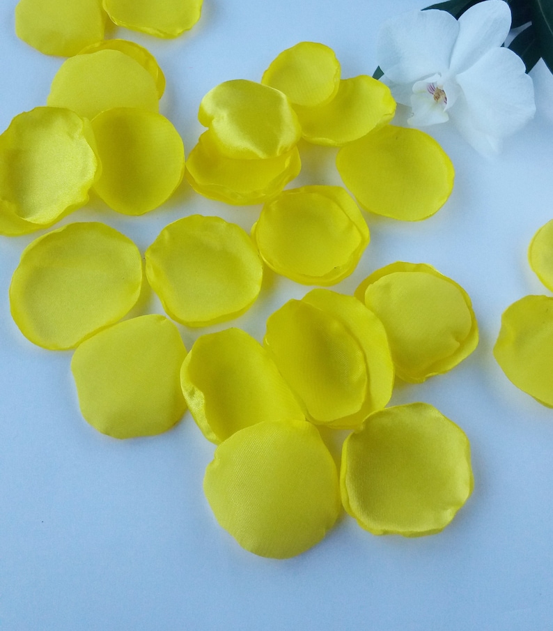 White & Mauve Rose Petals Wedding Decor Wedding Decorations Etsy