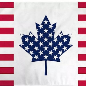 USA Canada Friendship Flag Canadian United States American Banner Pennant 3x5