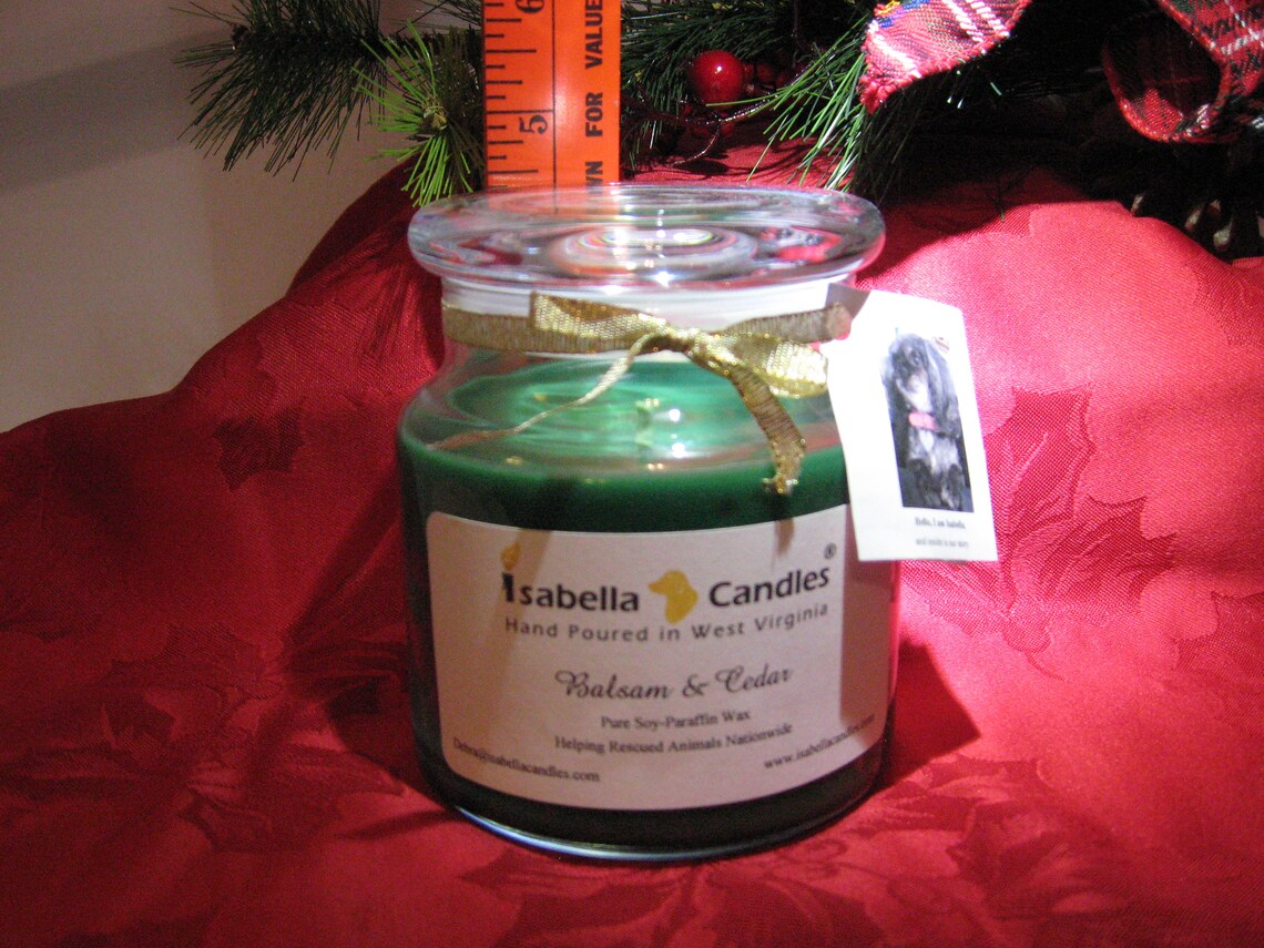 SALE Highly Scented Candles, Balsam & Cedar, Hand Poured, Relaxing
