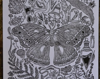 Cecropia's Collection - Original Linocut Print
