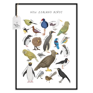 New Zealand birds poster, watercolor birds, nursery art, kids room decor, Animals poster, birds, baby room decor