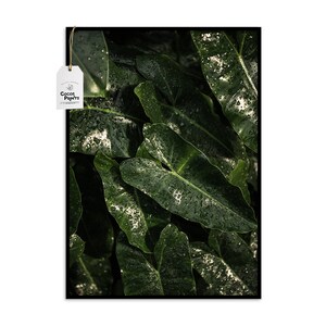 Leaves in the Rain Botanical Wall Art, PRINTABLE ART, Tropical Leaf Wall Art