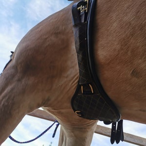 Saddle belt, moon belt, 75 cm leather strap, short belt, flex. Buckle suspension, horses with belly, ergonic riding, with soft padding
