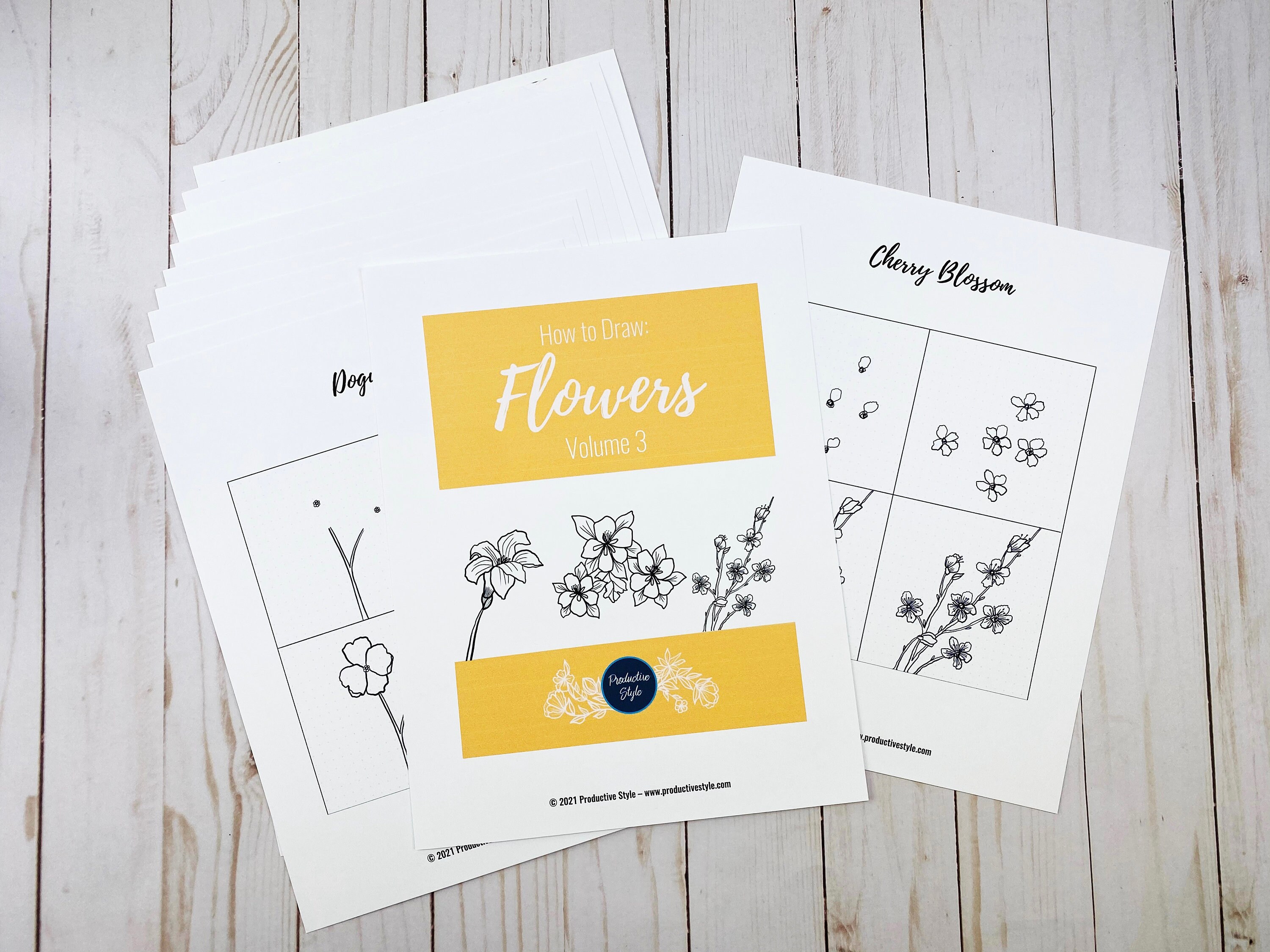 Volume 3: How to Draw Flowers Printable Worksheets Bullet | Etsy