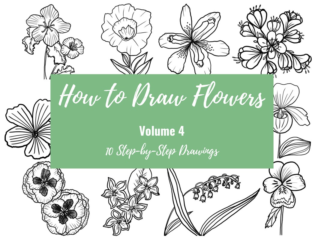 Volume 4: How to Draw Flowers, Printable Worksheets, Bullet Journal ...