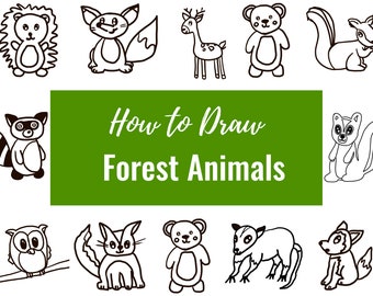 Forest Animals 12 Printable How to Draw Pages - Etsy Forest Animals 12 Printable How to Draw Pages - Etsy