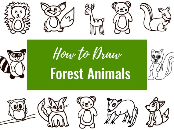 Forest Animals 12 Printable How to Draw Pages - Etsy Finland Forest Animals 12 Printable How to Draw Pages - Etsy Finland