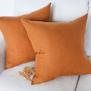 May include: Two burnt orange linen throw pillows on a white sofa.