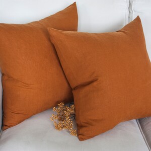 May include: Two rust-coloured linen throw pillows on a white sofa.