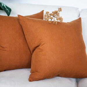 May include: Two brown linen throw cushions on a white sofa. The cushions are square and have a subtle texture. A sprig of dried flowers is resting on top of one of the cushions.