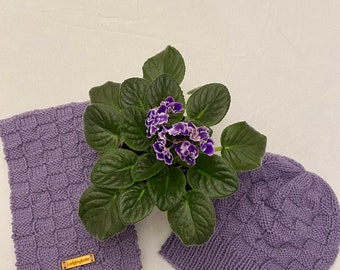 Lavender Knit Scarf and Hat Set: Handmade Basketweave Pattern, Fall Winter Knit Wear