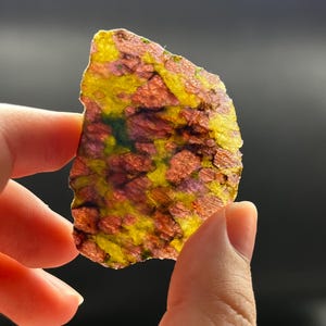 Könnte beinhalten: Eine flache, durchscheinende Mineralscheibe mit einem lebendigen Mosaik aus tief rotbraunen und hellen lindgrünen kristallinen Einschlüssen. Der unregelmäßige, halbkreisförmige Stein zeigt ein ausgeprägtes, texturiertes Muster aus Kontrastfarben.
