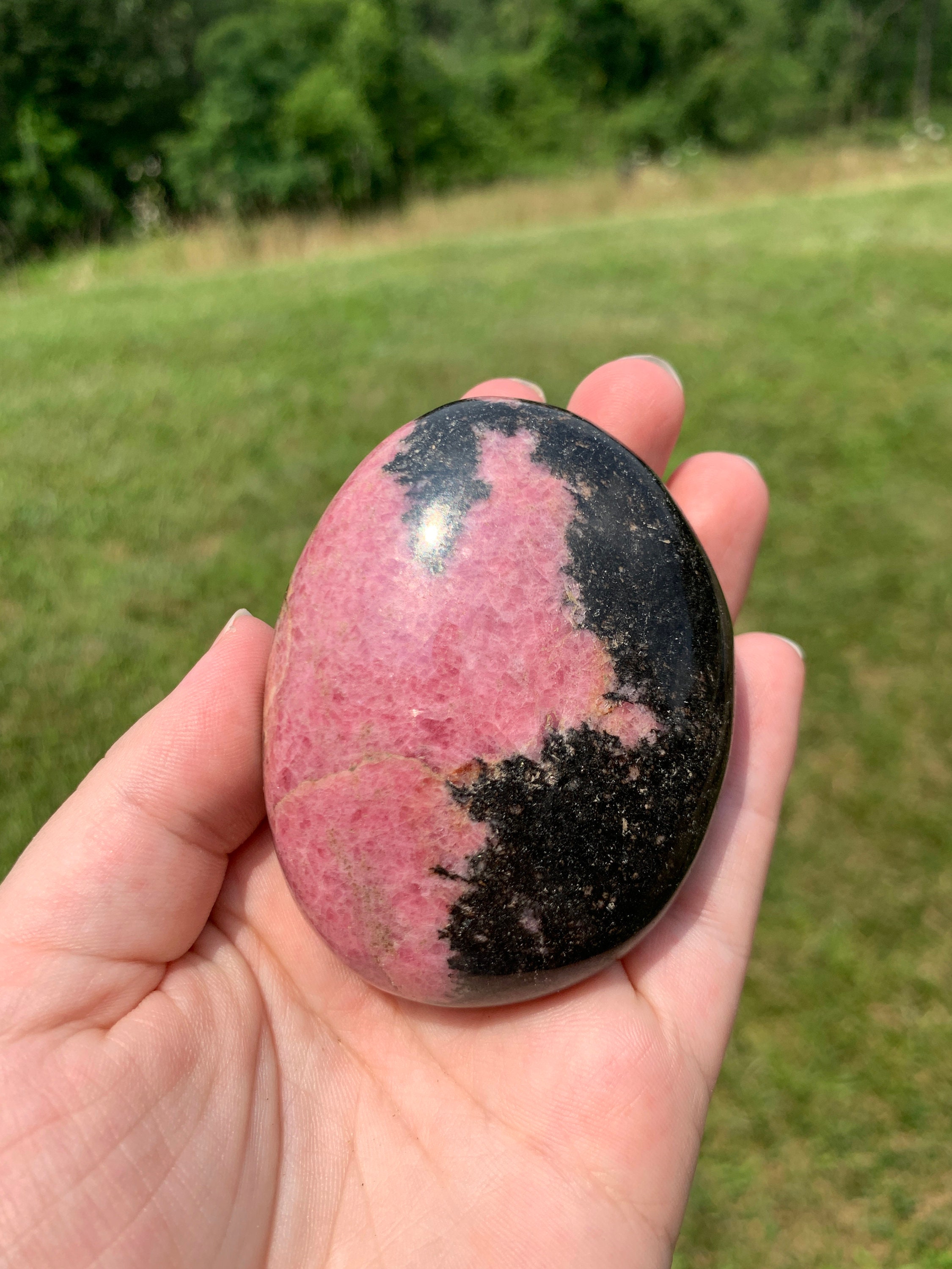 Rocks & Geodes Home & Living Septarian Cube-375g etna.com.pe