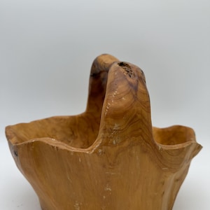 Burl Wood Root Handcarved Basket