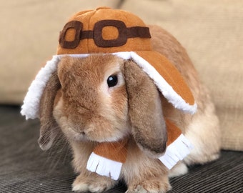 Aviator/Bomber hat and collar for small pets