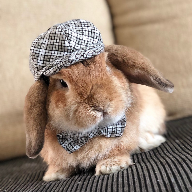 Plaid/Tartan Hat and Bow Tie collar set for pet bunny rabbit Etsy
