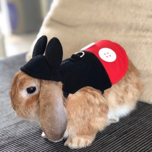 Cute mouse costume with hoodie for full grown lop-eared rabbits