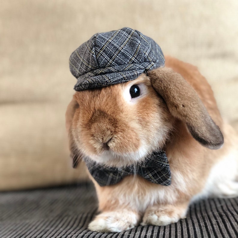 Plaid/Tartan Hat and Bow Tie collar set for pet bunny rabbit Etsy