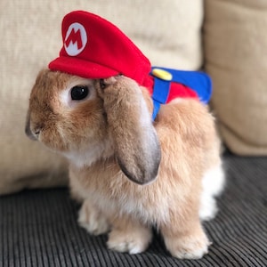 Super Mario, Luigi, wario and waluigi  inspired Hat for small pets
