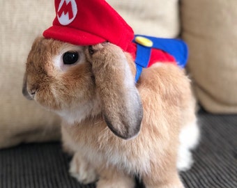 Super Mario, Luigi, wario and waluigi  inspired Hat for small pets