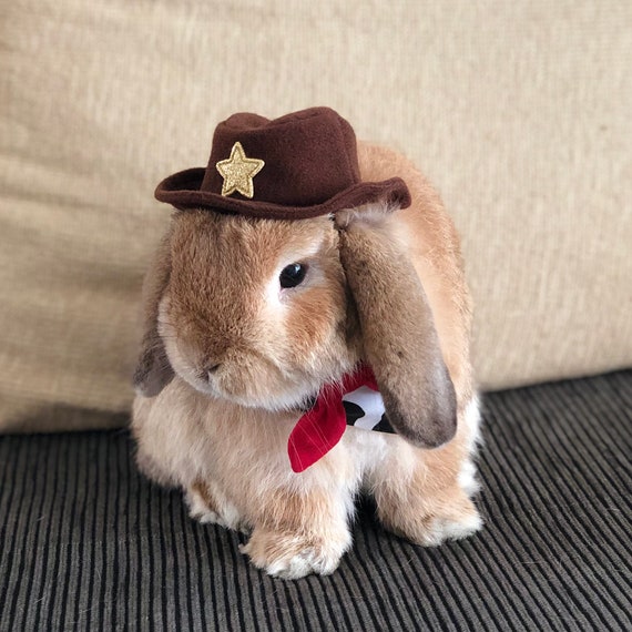 Chapeau de cowboy pour lapin de compagnie et autres petits animaux