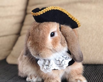Colonial tricorn pirate hat for pet bunny rabbit and other small pets