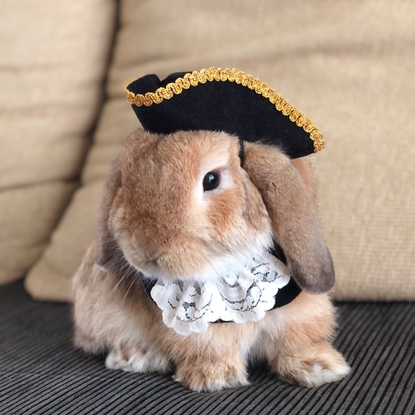 Colonial tricorn pirate hat for pet bunny rabbit and other small pets