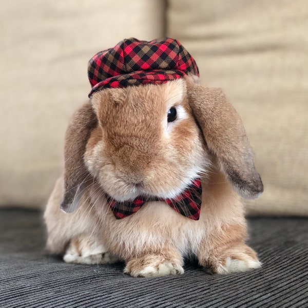 Plaid/Tartan Hat and Bow Tie collar set for pet bunny rabbit and other small pets