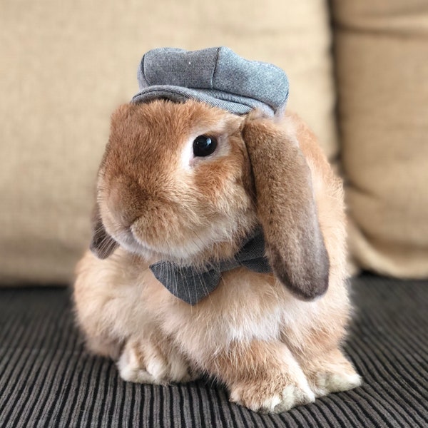 Gray chambray/plaid newsboy hat and bow tie collar set for pet bunny rabbit and other small pets