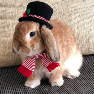 Red striped scarf collar for small pets
