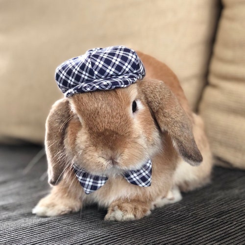 Therapy Pet Nurse Bunny Rabbit Felt Hat Pet Rabbit Clothing Etsy