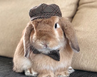 Plaid/tartan wool blend Hat and Bow Tie collar set for pet bunny rabbit and other small pets