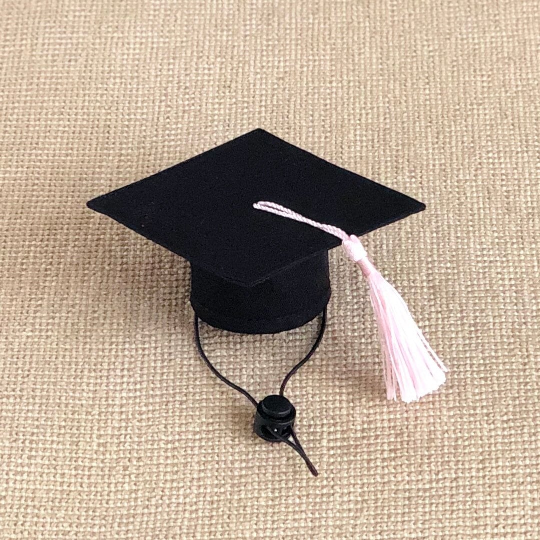 Graduation Hat for Small Pet - Etsy