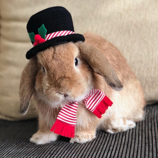 Snowman Top hat for pet bunny rabbits and other small pets