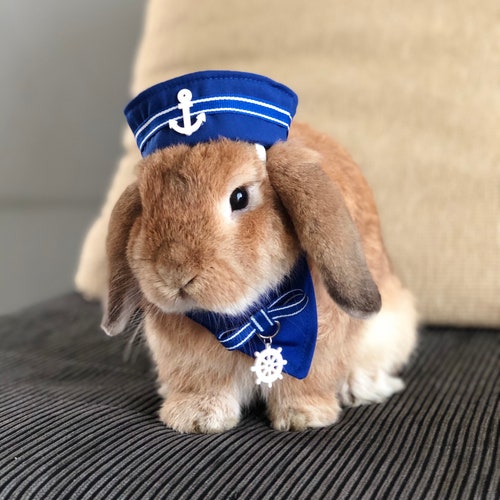 Therapy Pet Nurse Bunny Rabbit Felt Hat Pet Rabbit Clothing Etsy