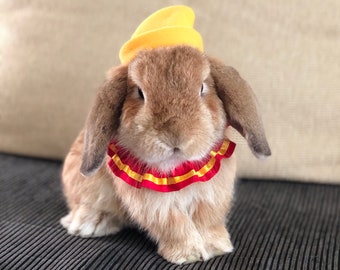 Flying Elephant Hat for pet bunny rabbit and other small pets