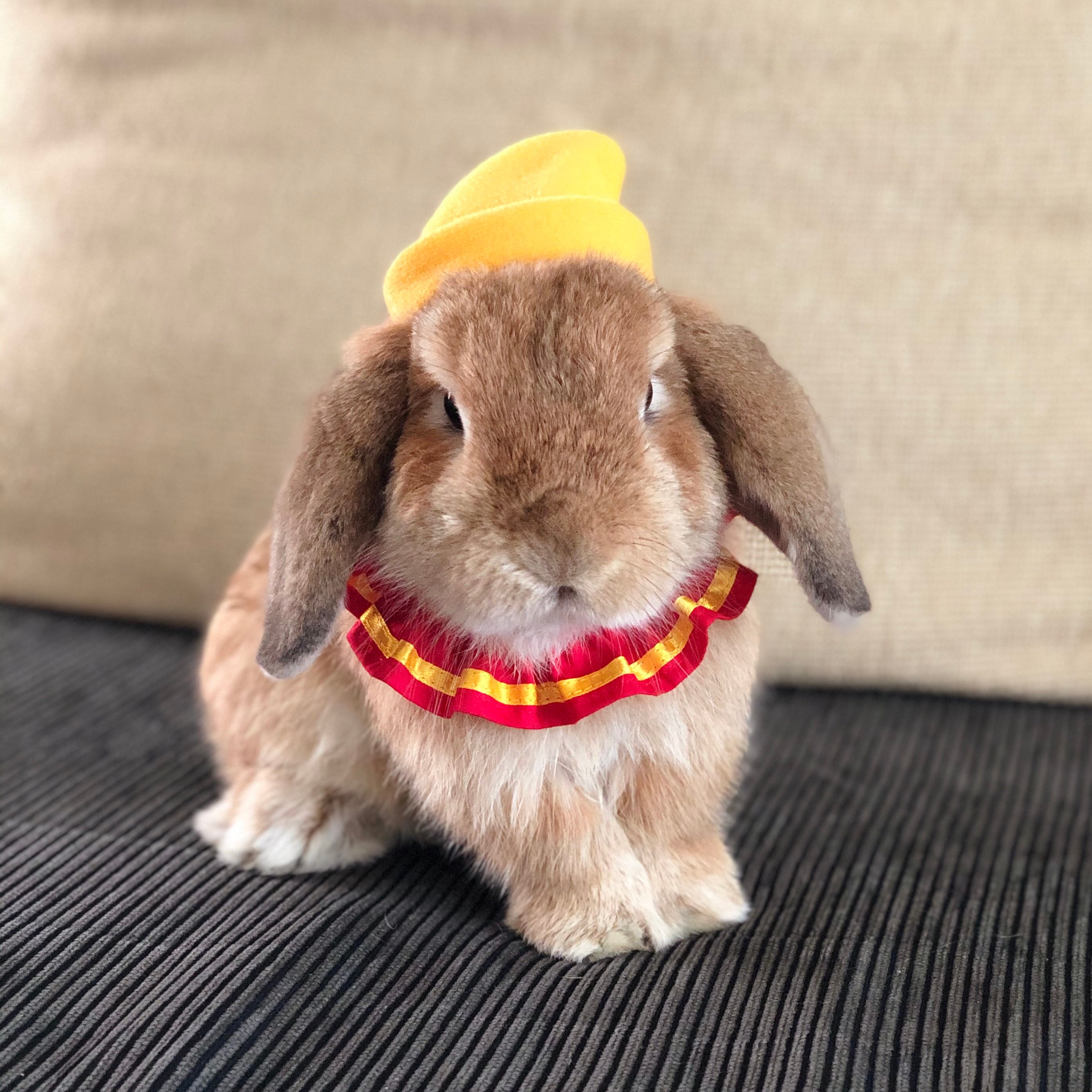 Dog Elephant Costume Etsy Canada