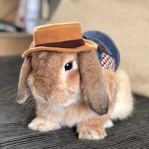 Farmer/Gardener Hat for small to medium pets